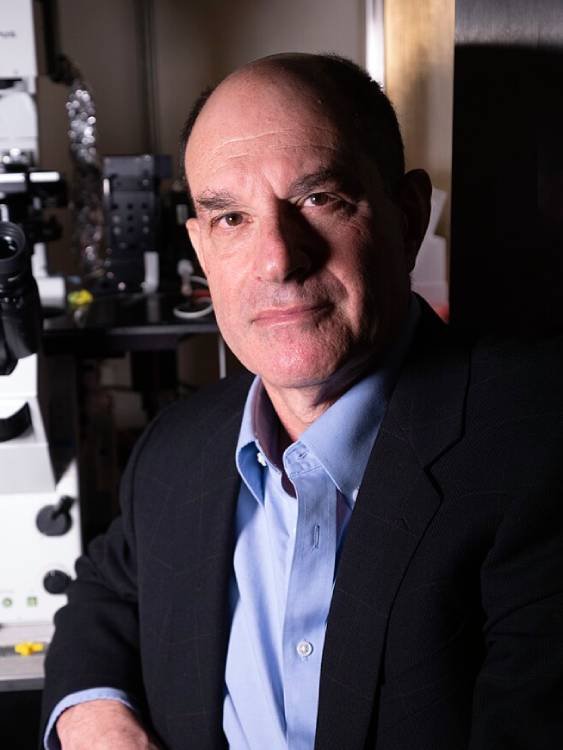 David Julius – Nobel de Medicina 2021 David Julius, fisiólogo premiado por descubrir los receptores de la temperatura y el dolor.