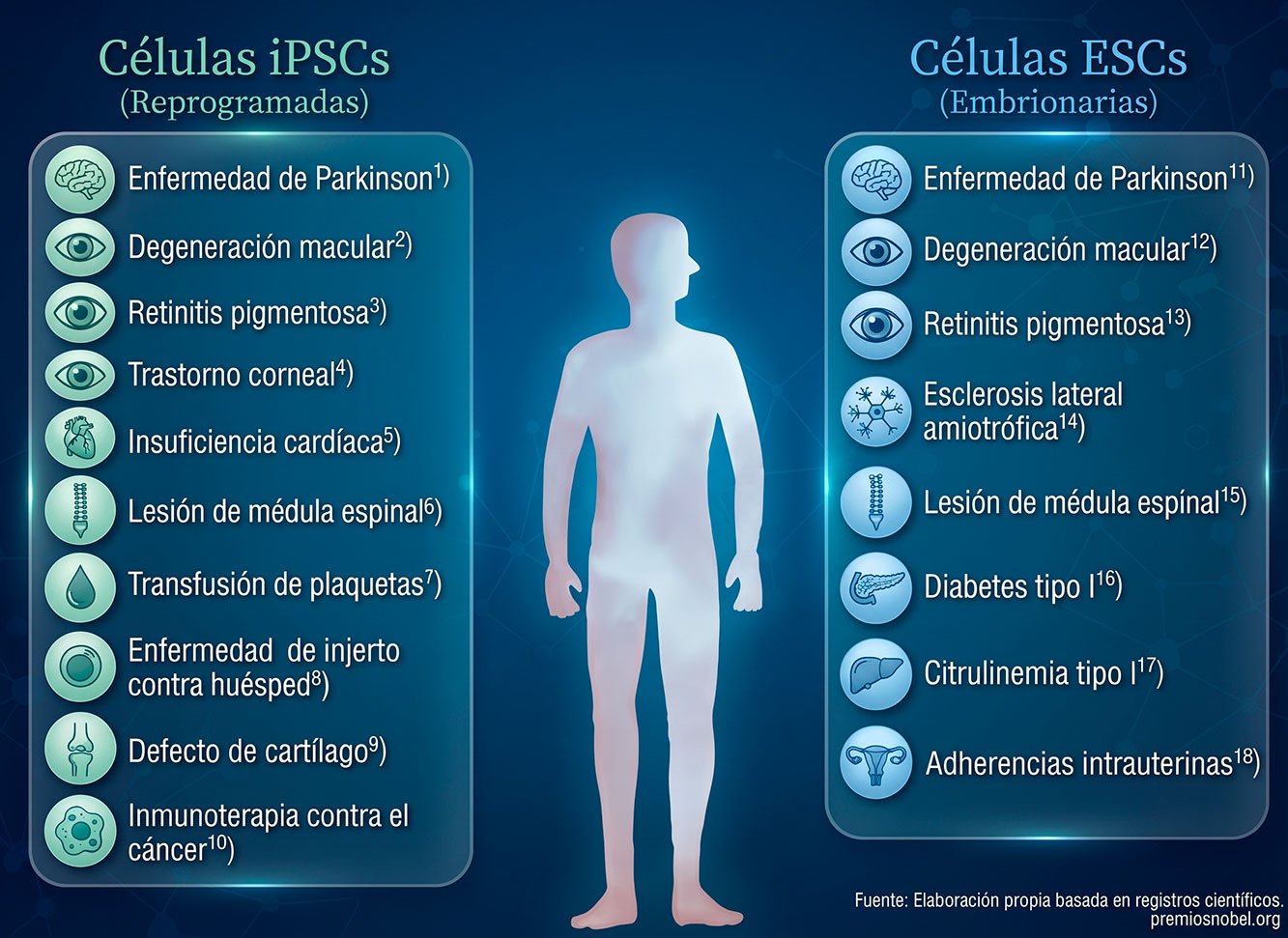 Infografía comparativa entre células madre iPS y células embrionarias ESC en ensayos clínicos