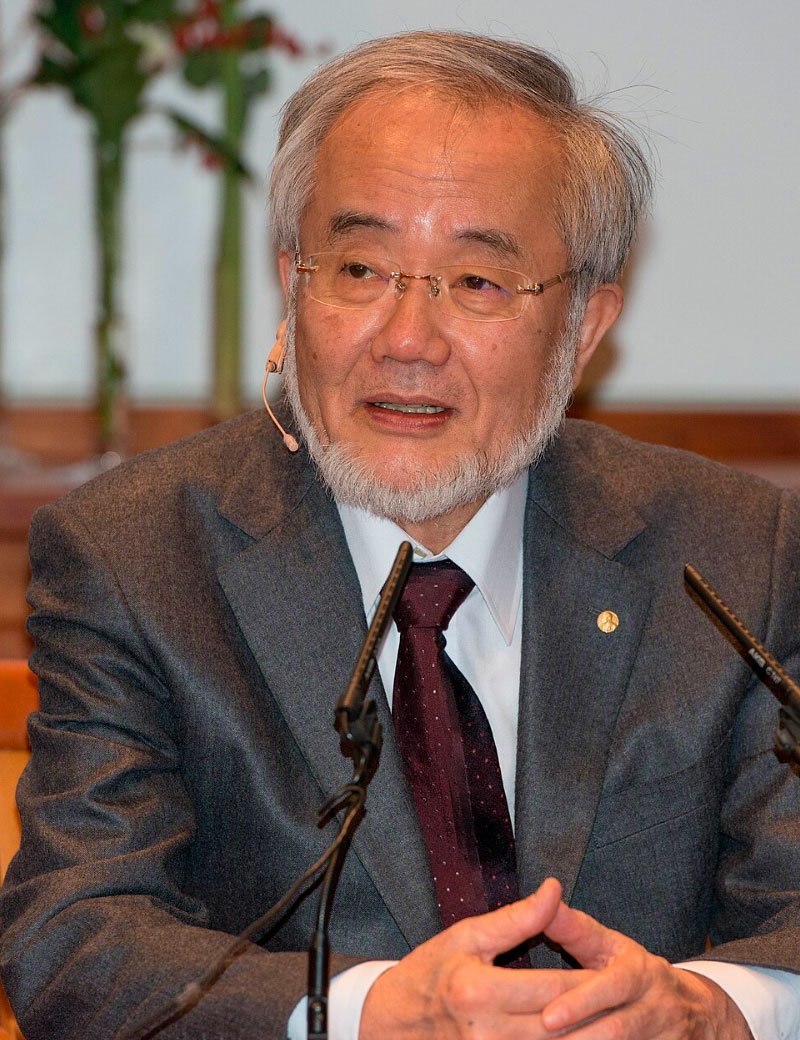 Yoshinori Ohsumi