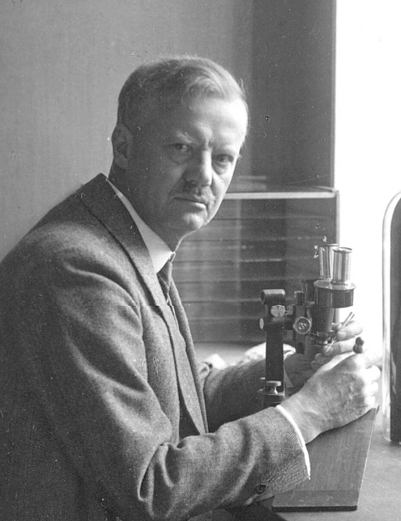 Hans Spemann