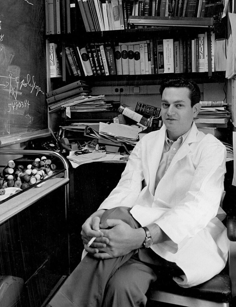 Marshall Nirenberg