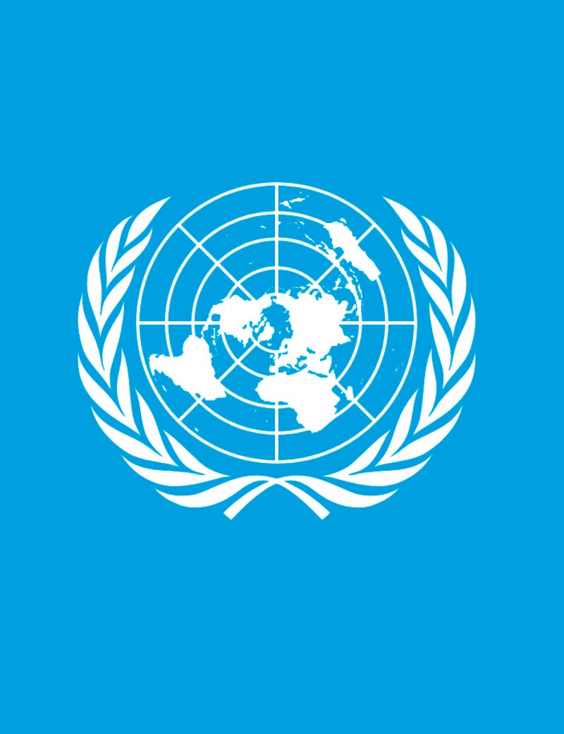 Organización de las Naciones Unidas (ONU) Organización de las Naciones Unidas (ONU)