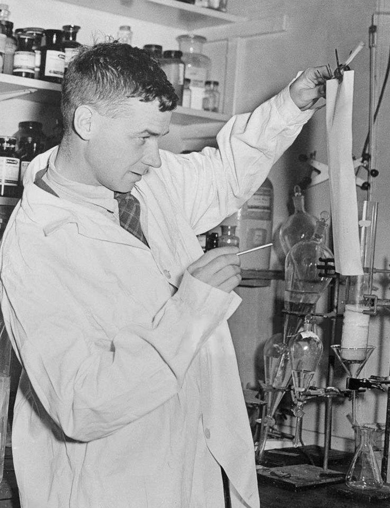Richard Synge