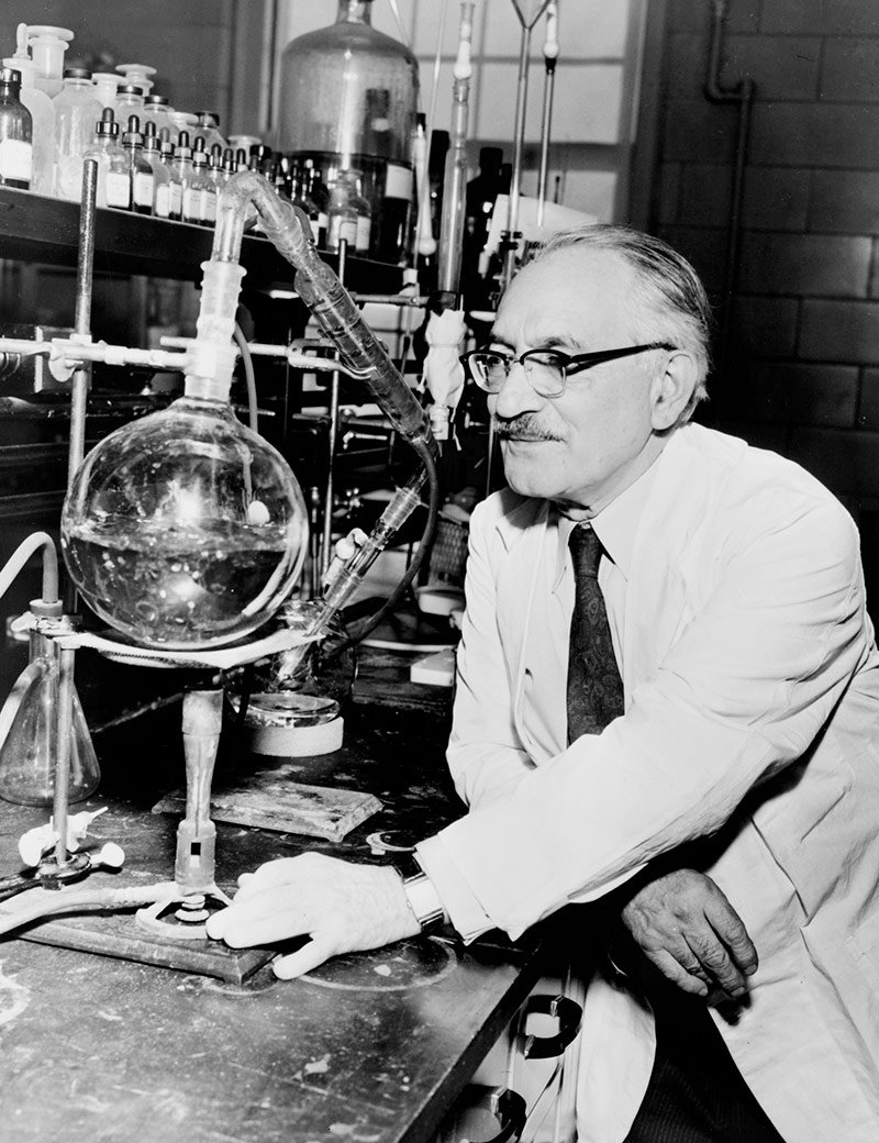 Selman Waksman