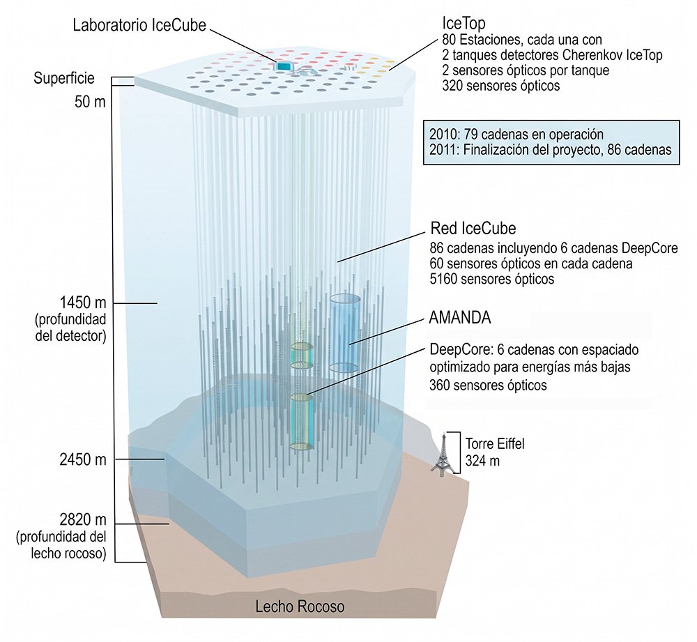 Diagrama técnico de la estructura del telescopio IceCube